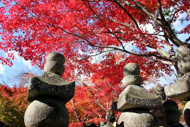 化野念仏寺の概要